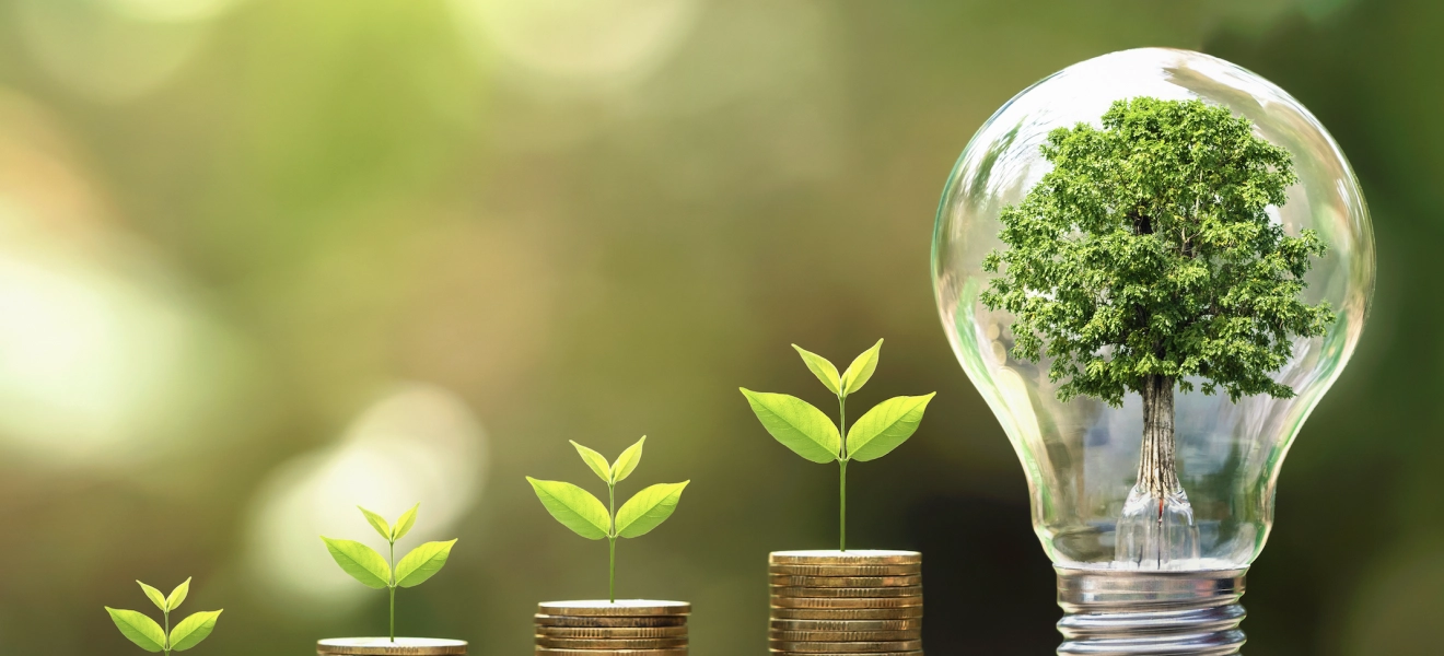 Autoconsommation solaire : pourquoi est-ce plus rentable que la revente aujourd'hui ?