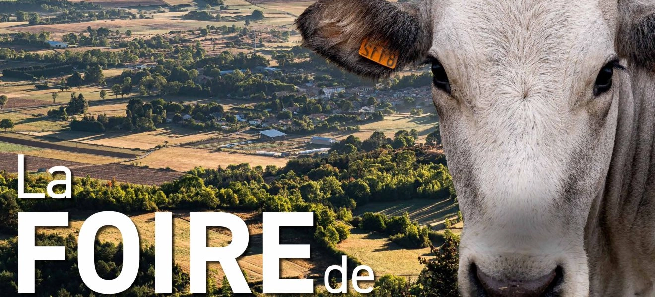 VILMA SOLAIRE VOUS DONNE RENDEZ-VOUS À ESPEZEL