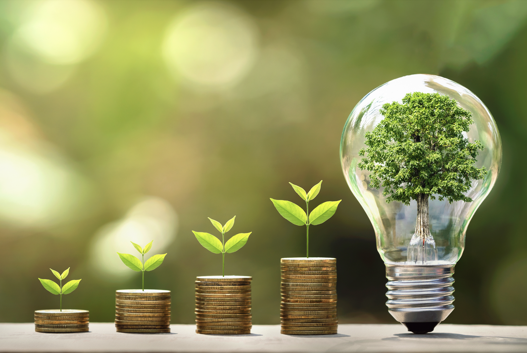 Autoconsommation solaire : pourquoi est-ce plus rentable que la revente aujourd'hui ?